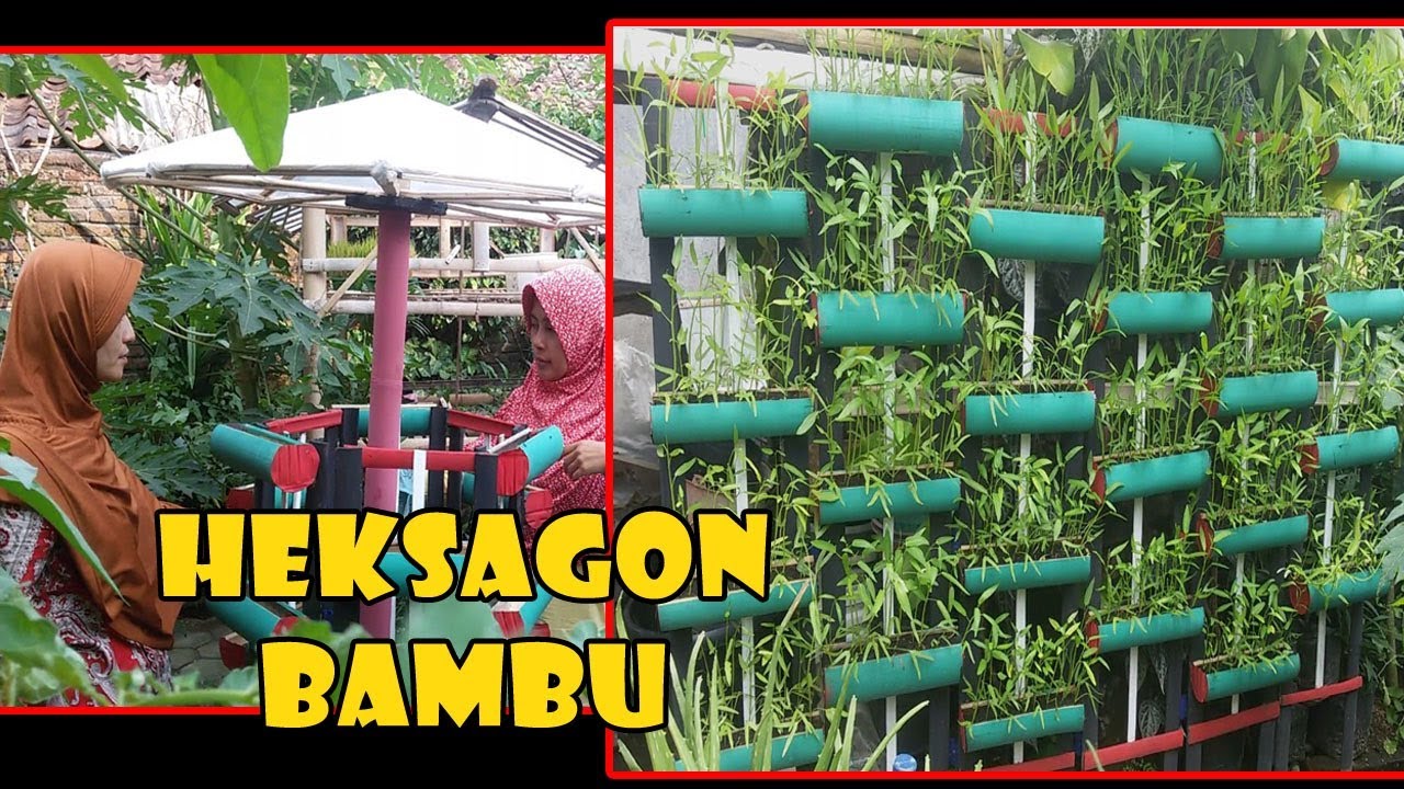  TIS Vertikultur Pagar Kangkung Limbah bambu Sawi Pak 