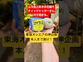 四角い石を蹴って丸くするティックトッカー現る！22日目　#石蹴男　#東海オンエア