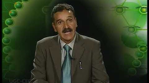 Algae economic importance