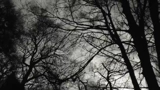 The Revenant Opening Scene I Revisited I Ljp Digital Media