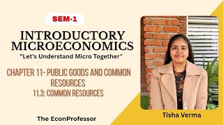 Chapter 11 Common Resources Introductory Microeconomics B.a.hons Economics Sem 1