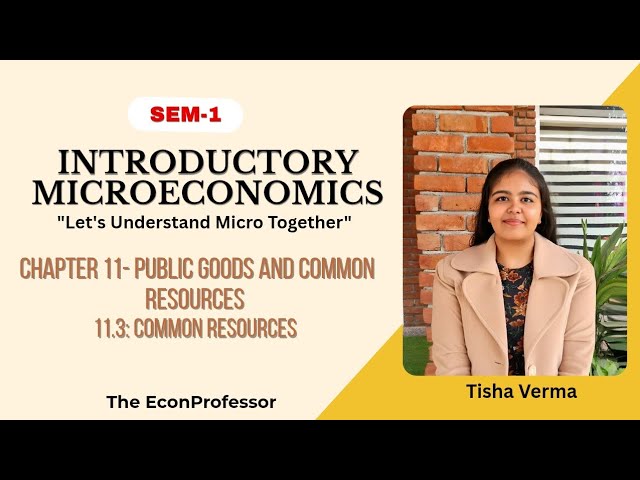 Chapter 11 (Common Resources) | Introductory Microeconomics | B.A.(hons) Economics | Sem 1