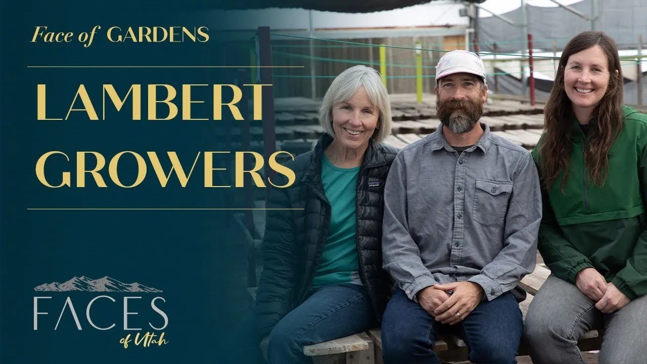 🌱Lambert Growers | Utah’s Local Greenhouse Since the 1960s