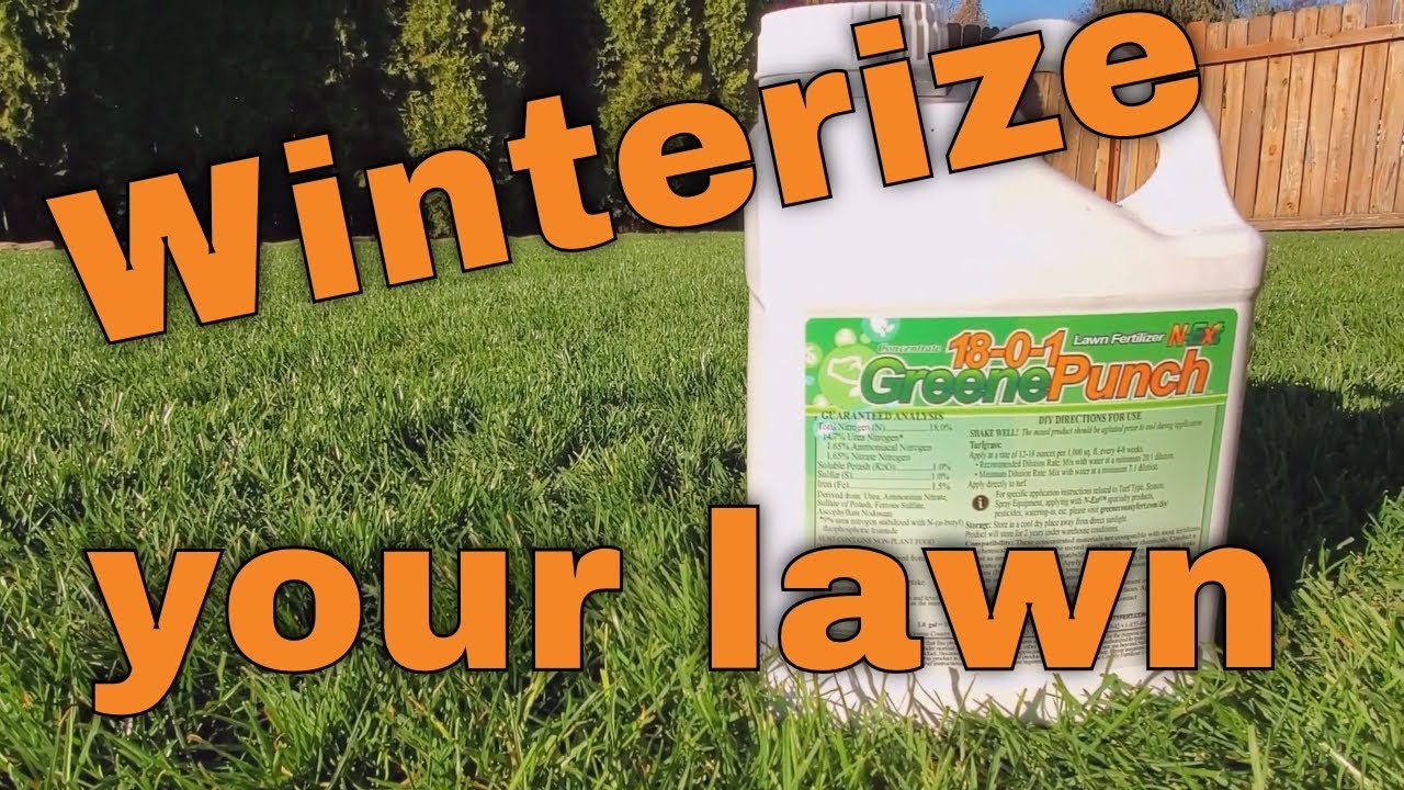 Winterize your lawn with 1801 GreenePunch Lawn Fertilizer from Greene