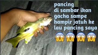 Saat Asyik Bicara Di Depan Kamera, Pancing di Tarik Sampe Gulangan Saya Hampir Jatuh
