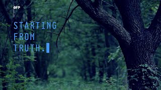 Welcome to the Open Forest Protocol