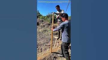 Traditional Farming Techniques: The Use of Axes in Pile Driving