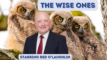 THE WISE ONES WELCOMES ALECIA STRINGER