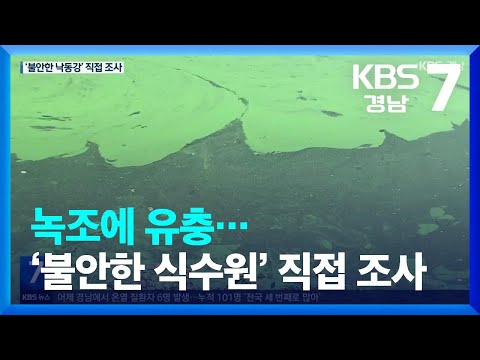 녹조에 유충…‘불안한 식수원’ 직접 조사 / KBS  2022.08.04.
