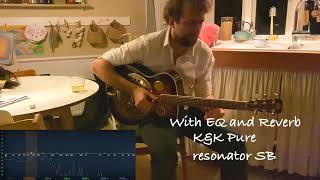 Resonator Guitar - K&K Pure Resonator SB