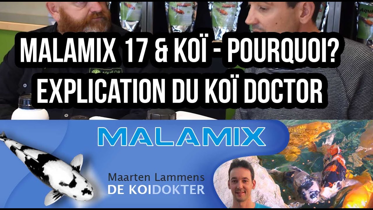 Dr. Lammens Malamix 17 - Vitamines Herbes Bactéries Nitrifiantes Pour Bassin Et Koïs 1L