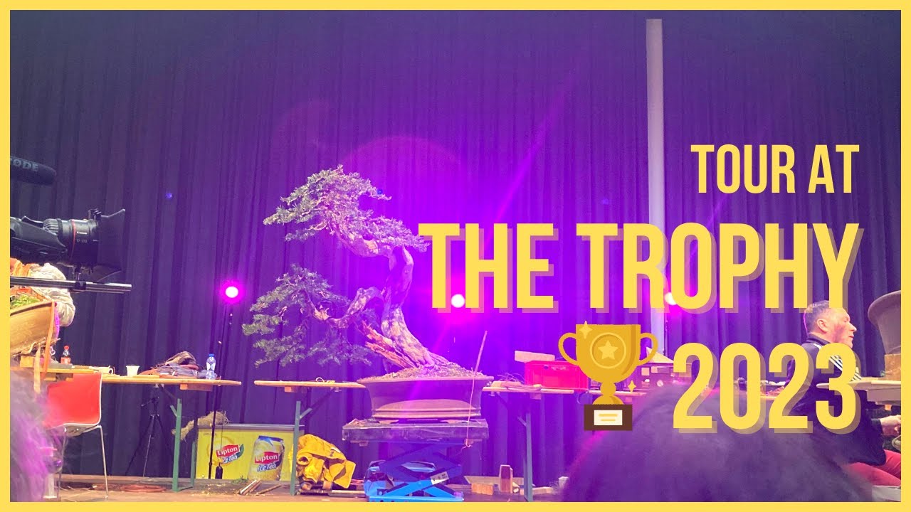 The Trophy 2023 Bonsai Exhibition YouTube