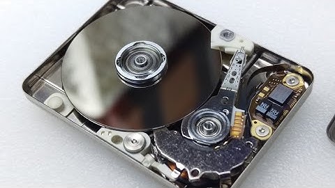 Dissecting The World