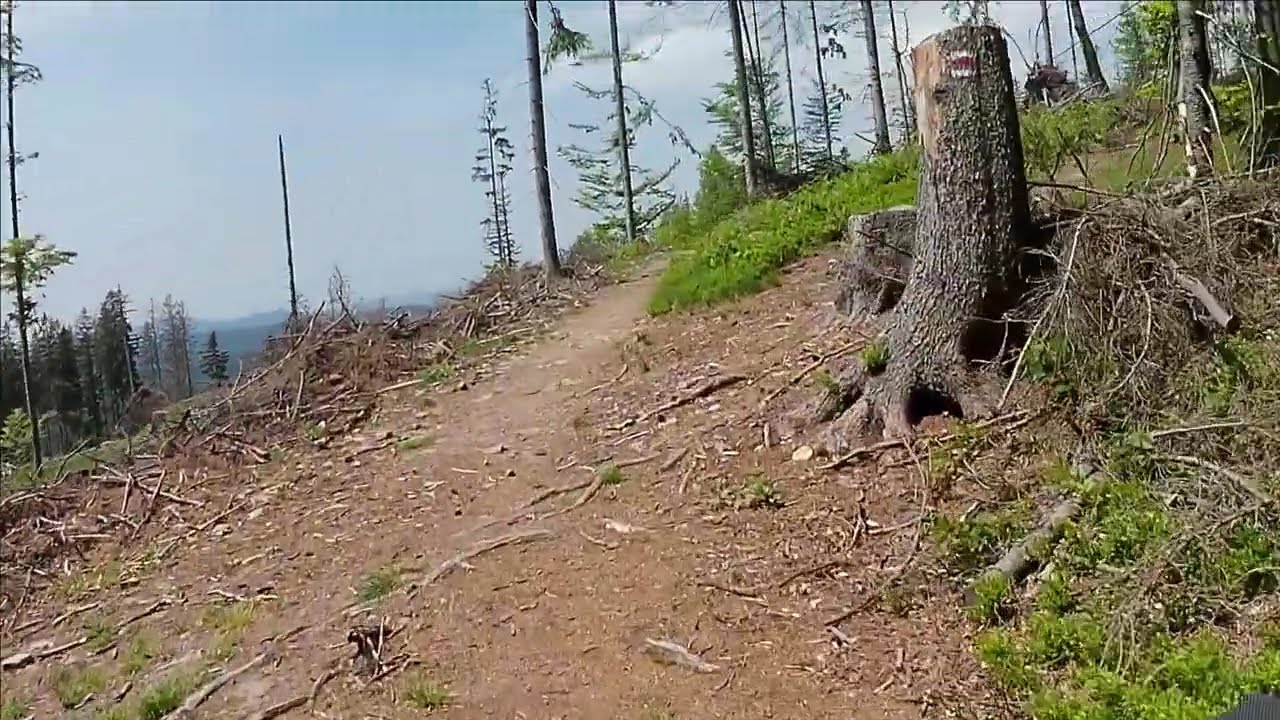 Bílá - Staré Hamry - Bílý Kříž - Suľov - Doroťanka - Konečná - Bobek