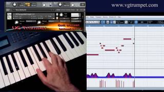 Soft trumpet sound library for NI Kontakt screenshot 2