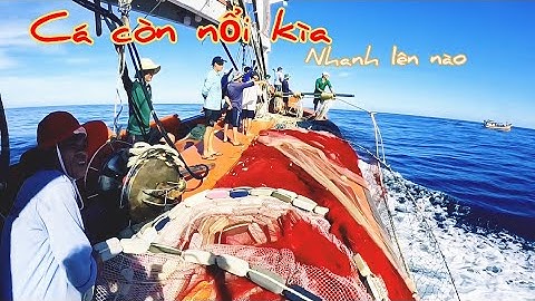 Bao vây bầy cá ngừ ngày đầu tiên của chuyến biển và cái kết| Đánh cá 2024 Tập49 | Sóng biển Hứa Đông