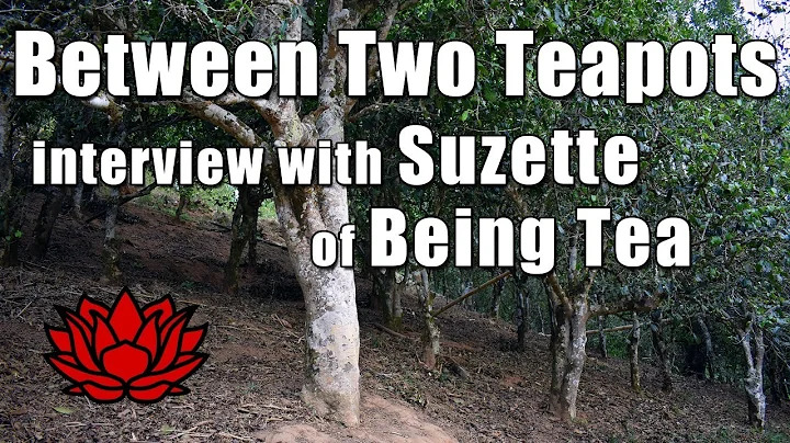 Between Two Teapots - Interview with Suzette Hammo...