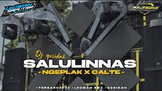 DJ QOSIDAH SALULINNAS NGEPLAK X CALTE BY LEOWAN RMX 