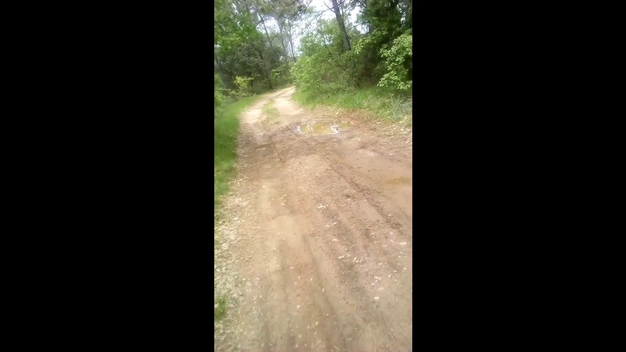 Annonce : Le fenouillet