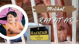 Download Lagu MELIHAT KUDA DI PACUAN KUDA JAKABARING PALEMBANG,ADA KUDA RAFATHAR!! MP3