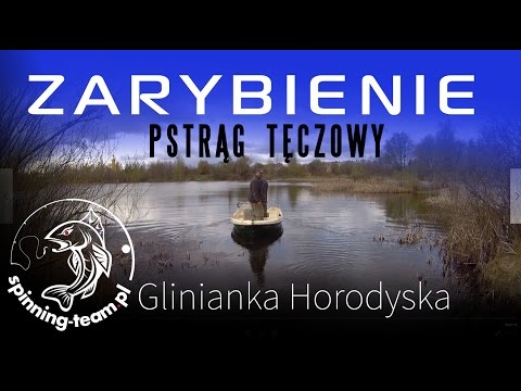 Zarybienie - pstrąg tęczowy - Glinianki Horodyskie - zawody puchar WKS Chełm