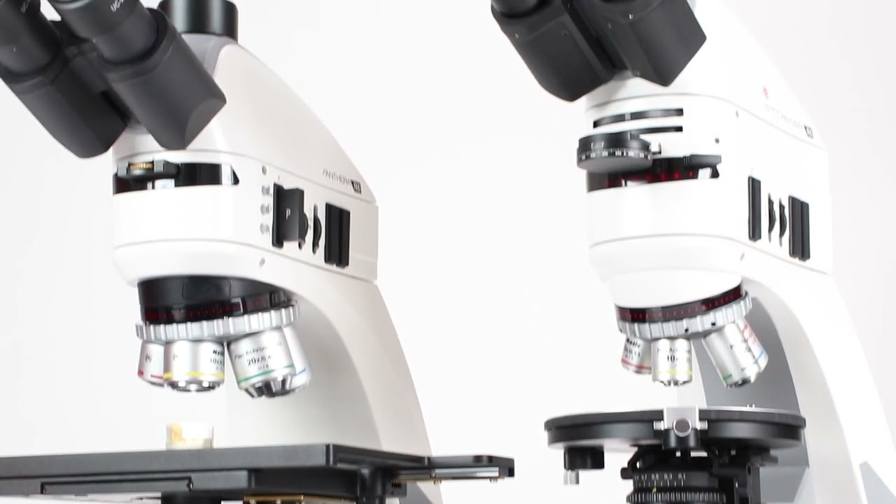 Panthera Microscope Series  Unleash your Potentials