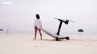 Waydoo Flyer EVO Debut