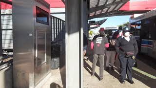 Cta New Novabus Lfs On The 95Th