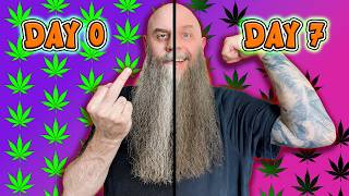 One Week Sober After 10 Years