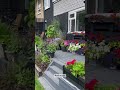 CONTAINER GARDEN - I love my deck which is full of flower all summer long #gardener #flowers #garden