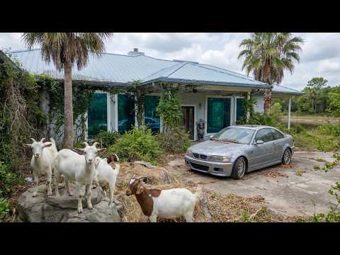 This Strange Abandoned Mansion Is Basically a Goat Petting Zoo (But Not What You Think) 🤔