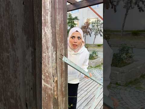 سما بتحكي مع القطط    