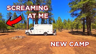We Travel To New Camp And A Lady Screams At Me When We Arrive