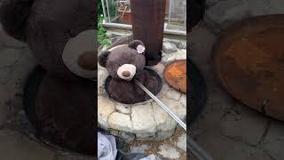 Burning Massive Bear For Bull