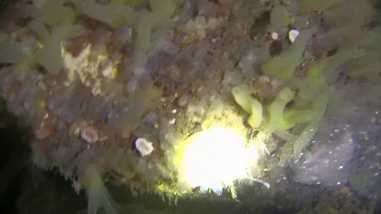 35m in Kilkieran Bay