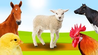 Learn farm animal names in English 🐔🐷 Educational video for toddlers to learn animal names 🐮