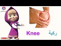 أعضاء الجسم باللغة الانجليزية والعربية Parts Of The Body الجزء الثاني 