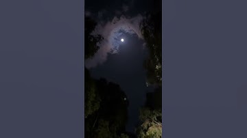 تلاوة خاشعة بصوت القارئ عمرو بن ضياء،نسأل الله أن ينفع بهاالجميع#عمرو_بن_ضياء #تلاوة_قرآن #قرآن_كريم