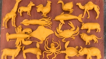 Rửa sạch các con vật nuôi, trâu,bò, dê, ngựa vằn,heo, hà mã, voi, hươu cao cổ