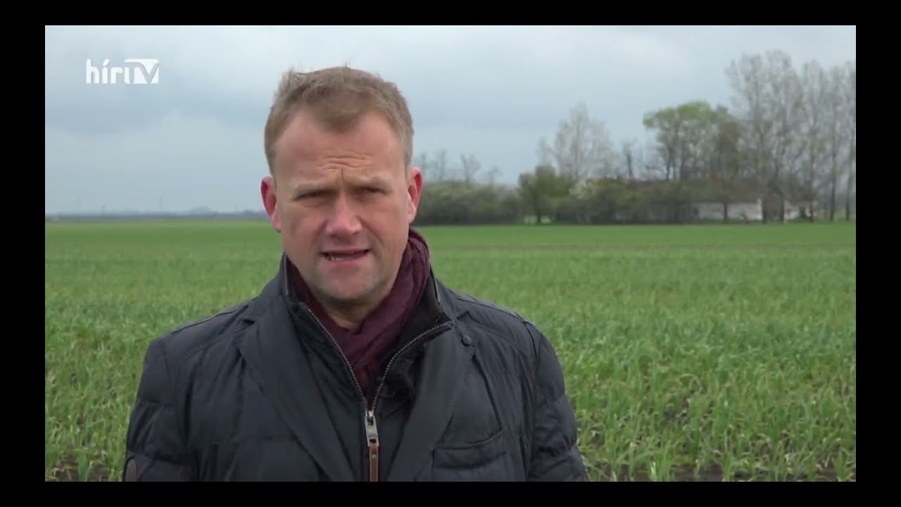 Fokhagyma, az igazi csodaszer