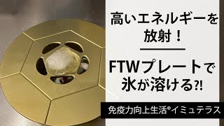 FTWフィオーラプレート サイズ：直径14.4㎝ 製 造：日本 - 通販