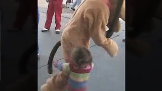 kid hugs pluto at disney land, goes very wrong..