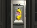 Bananacat Trying to Sleep #gmod 😹🍌