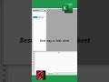Excel Tricks Tamil - Day 50 Best way to hide work sheet #100dayschallenge #100ExcelTricks