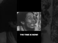 Bob Marley S Powerful Warning The Time Is NOW Rise Survive 