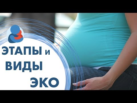Искусственное оплодотворение женщин. 🤰 Этапы и виды искусственного оплодотворения женщины.