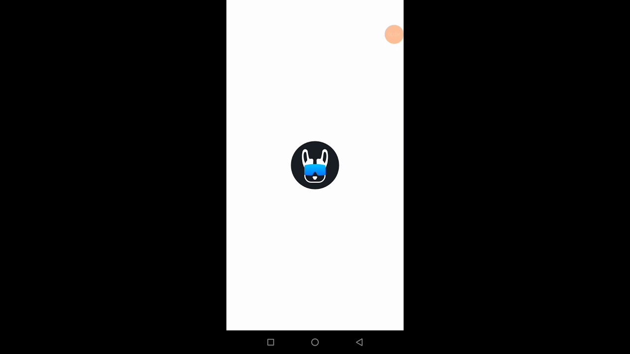 Flash Dog  Settings  Graphic and Fps