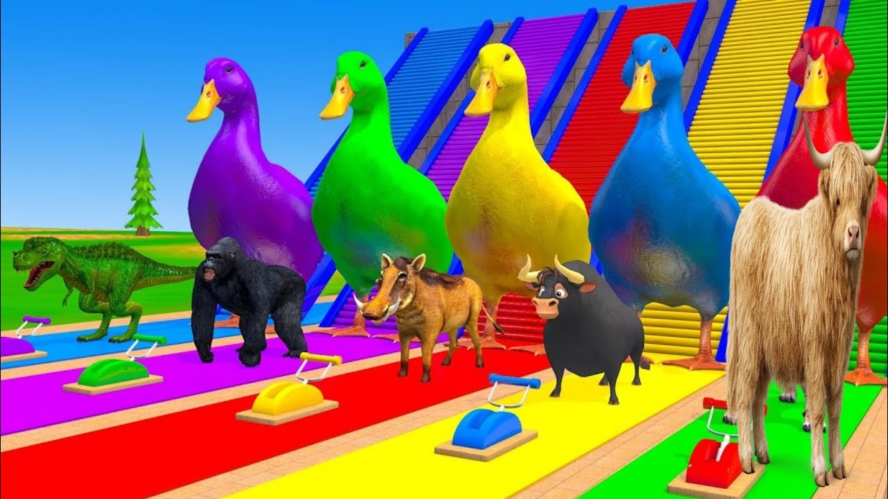 5 Giant Duck Cartoon,Cow,Elephant,Tiger,Lion,Dinosaur,Paint Wild Animals Crossing Fountain part 22