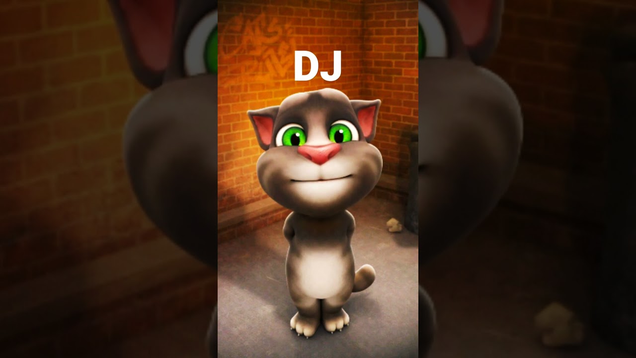 DJ SONG TALKING TOM KA GANA
