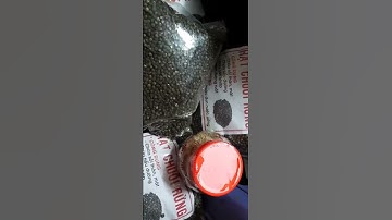 Ngâm rượu chuối hột cách ngâm rượu chuối hột đúng bảo khánh